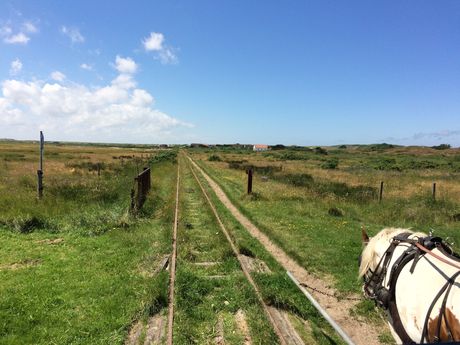 Pferde ziehen die Museumsbahn auf den Schienen über die Insel 