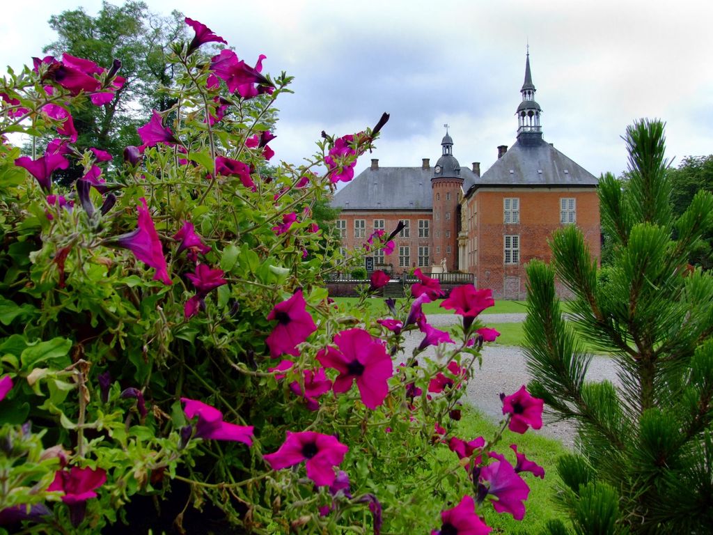 Blühende Blumen im Schlosspark mit dem Schloss Gödens im Hintergrund