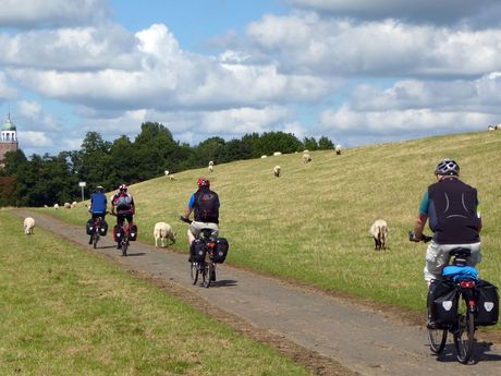 Mit dem Fahrrad durchs Rheiderland, vorbei an Deich und Schafe