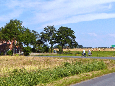 Fahrradfahrer fahren entlang einer Straße entlang eines Feldes mit Strohballen