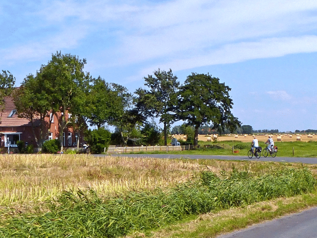 Fahrradfahrer fahren entlang einer Straße entlang eines Feldes mit Strohballen